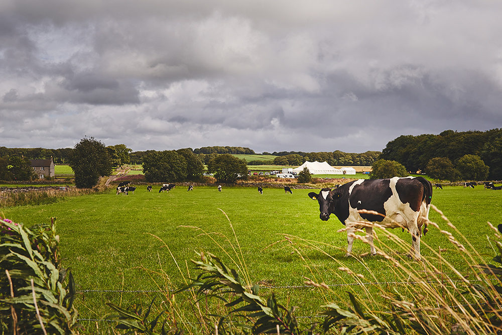 Farm Wedding - Marquee Hire