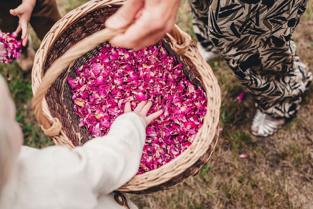 Leek Wedding Photographer - Brough Park Confetti