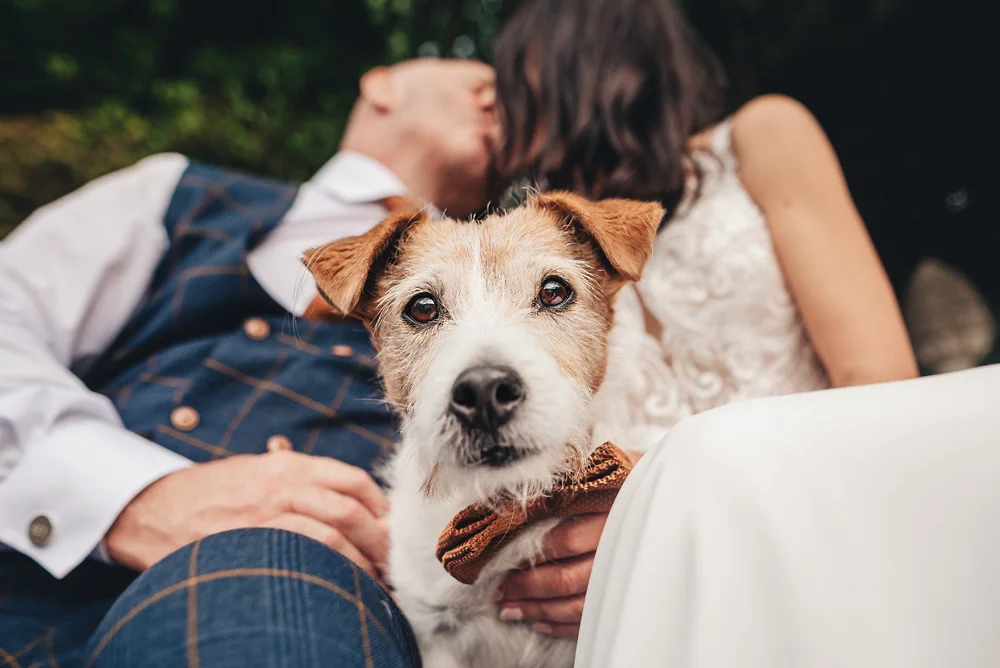 Shrigley Hall Macclesfield Wedding Photographer - Dogs at weddings