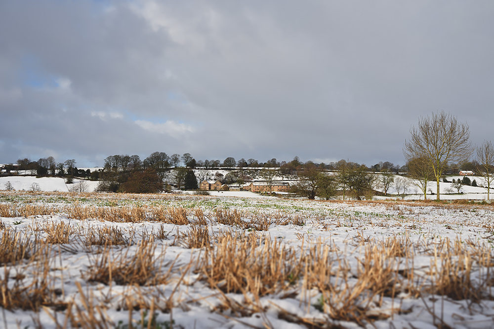 Winter wedding at The Ashes Barns in Staffordshire